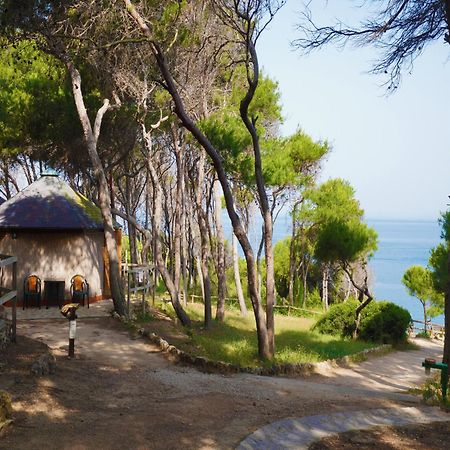 Touring Club Italiano - Isole Tremiti Hotell San Domino Eksteriør bilde