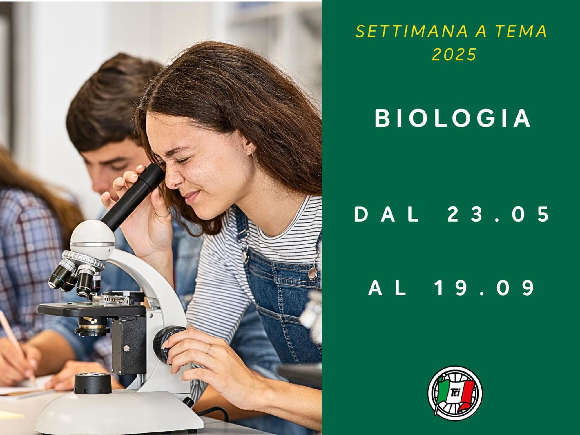 Touring Club Italiano - Isole Tremiti Hotell San Domino Eksteriør bilde